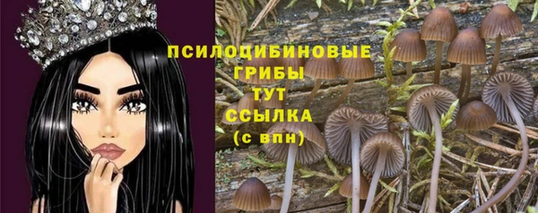 гашик Белокуриха