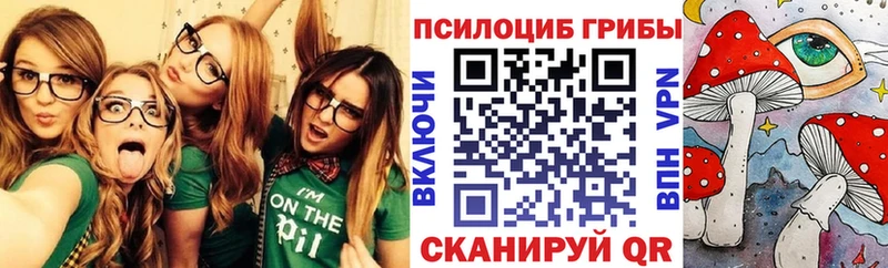 сколько стоит  Кимовск  Псилоцибиновые грибы Psilocybine cubensis 